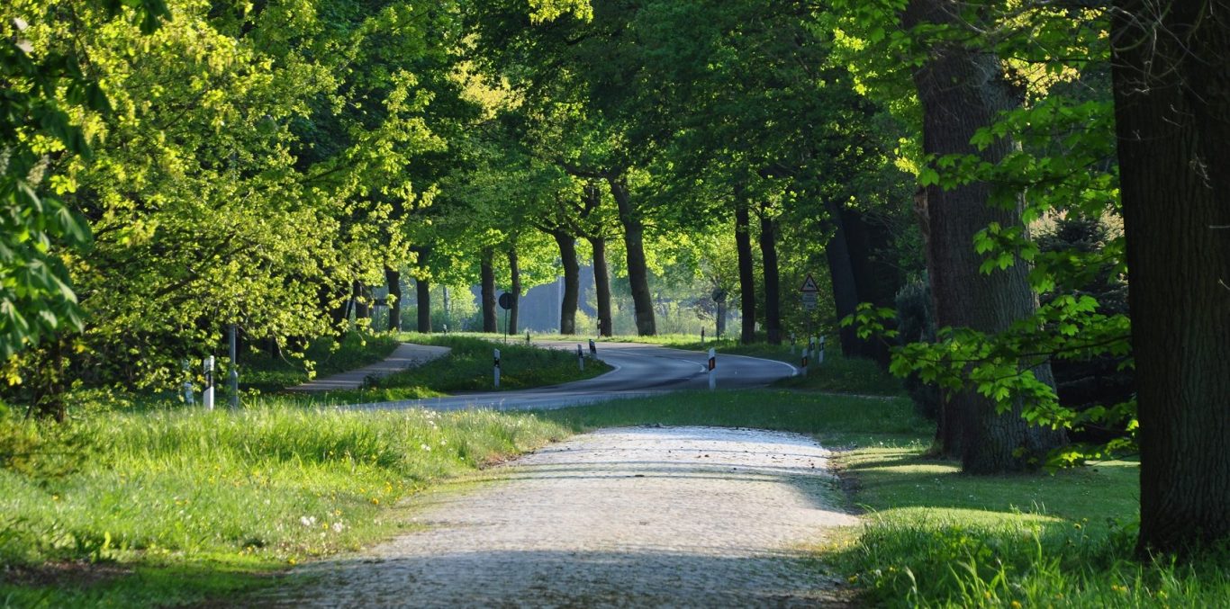 Allee am Gutshaus Allee am Gutshaus